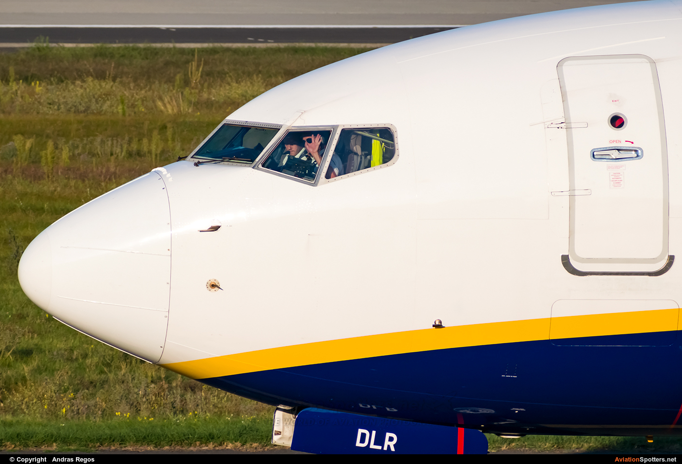 Ryanair  -  737-800  (EI-DLR) By Andras Regos (regos)