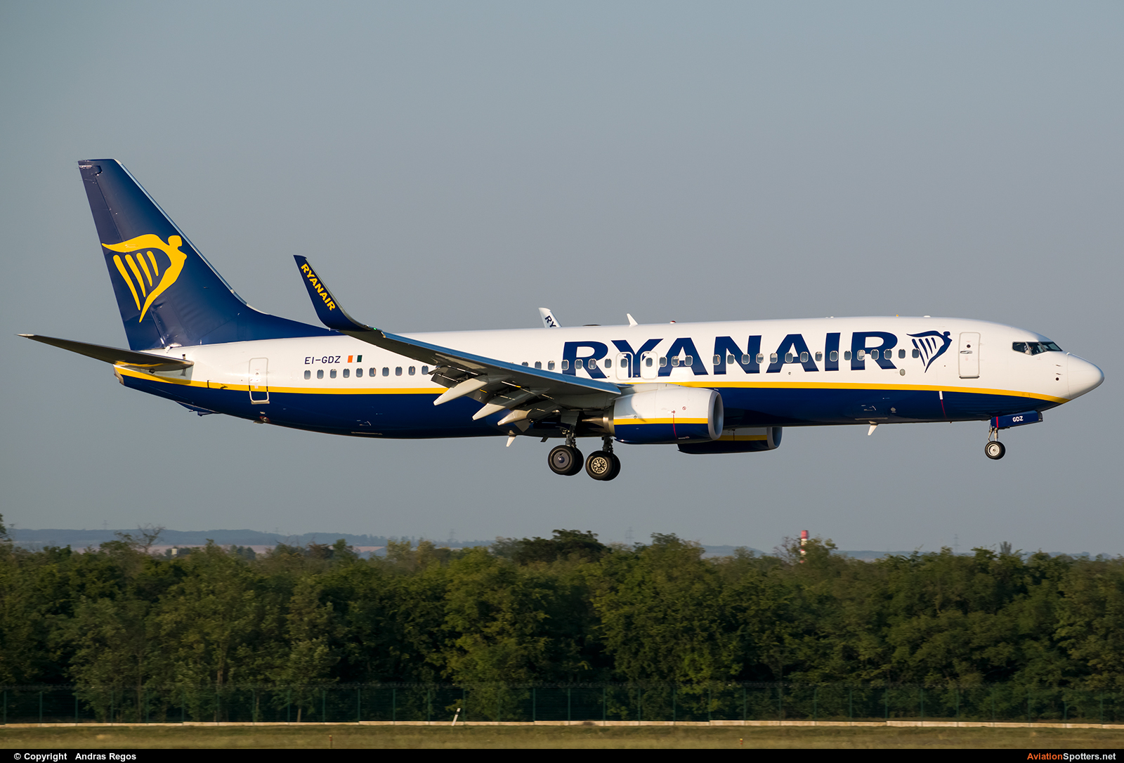 Ryanair  -  737-800  (EI-GDZ) By Andras Regos (regos)