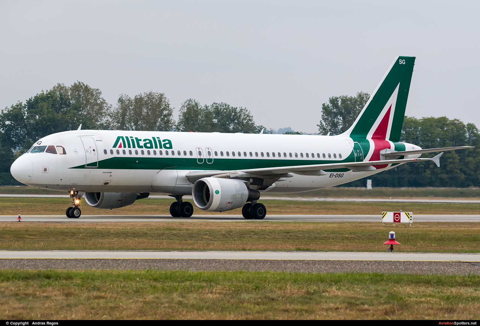 Alitalia  -  A320-216  (EI-DSG) By Andras Regos (regos)