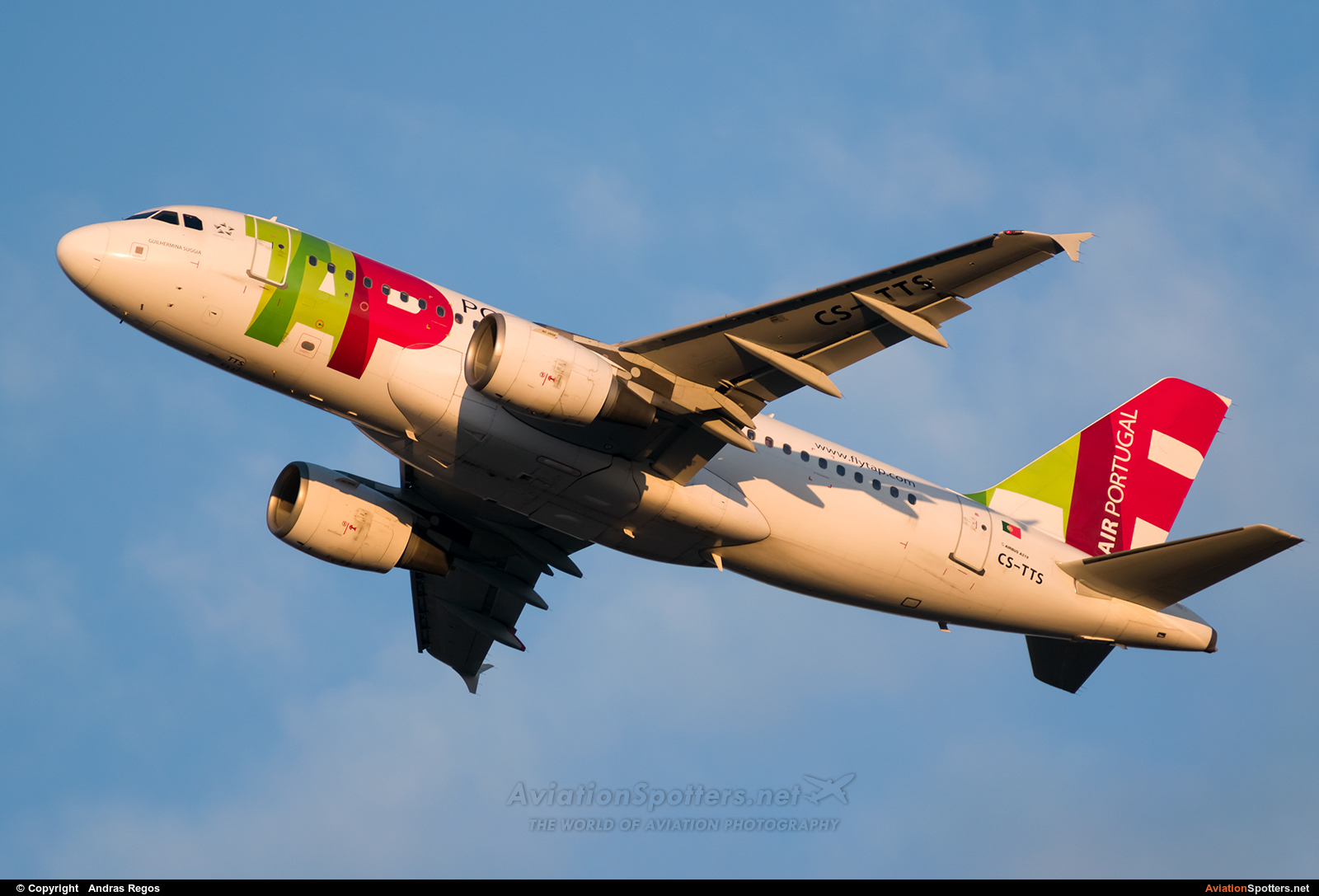 TAP Portugal  -  A319-111  (CS-TTS) By Andras Regos (regos)