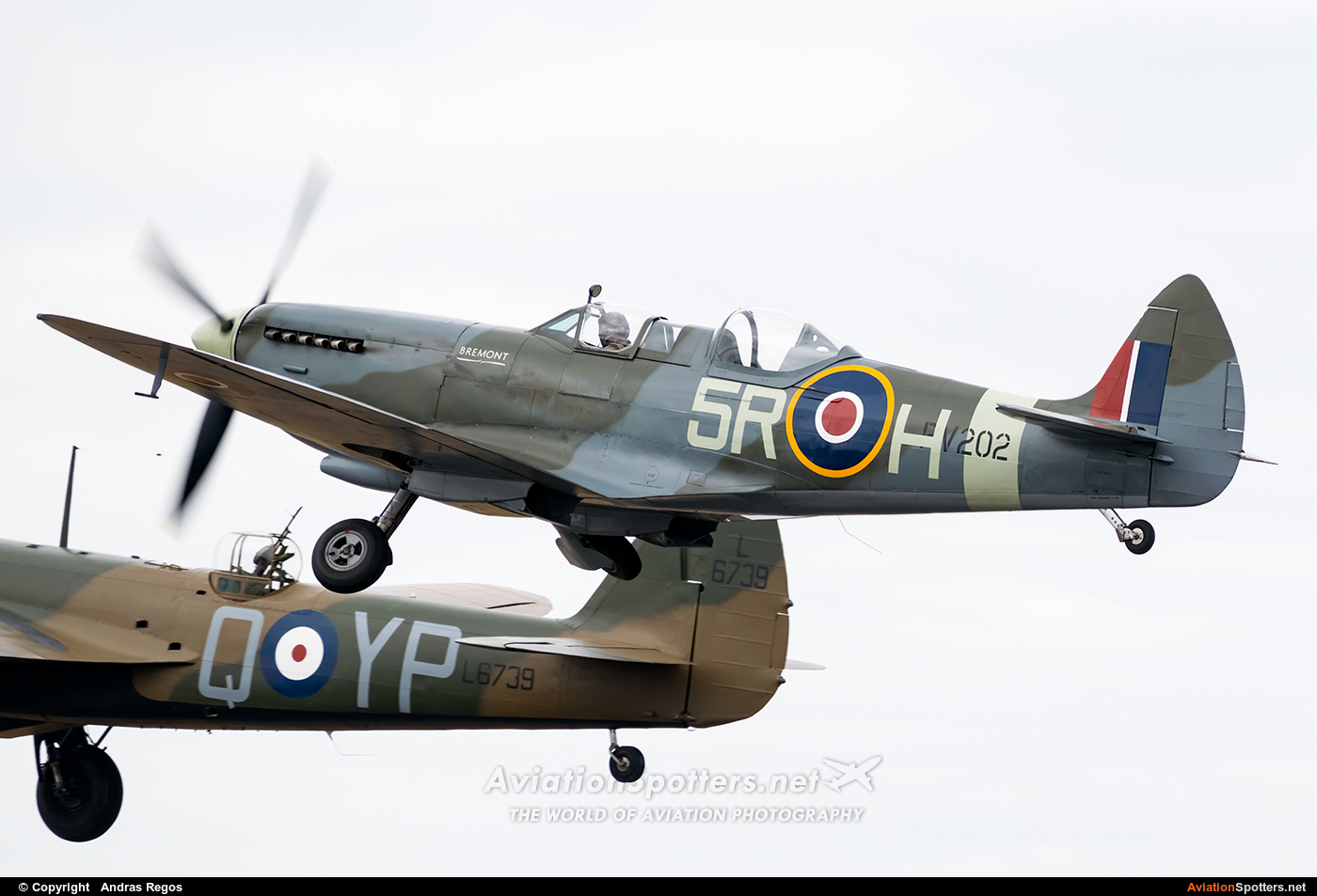 Historic Flying  -  Spitfire IX  (G-CCCA) By Andras Regos (regos)