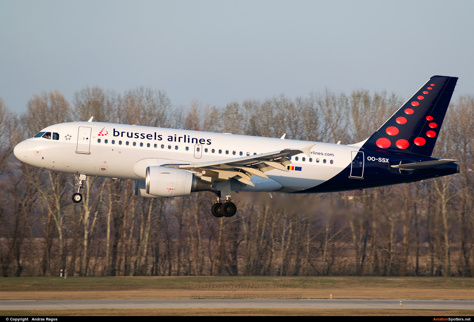 Brussels Airlines  -  A319-112  (OO-SSX) By Andras Regos (regos)