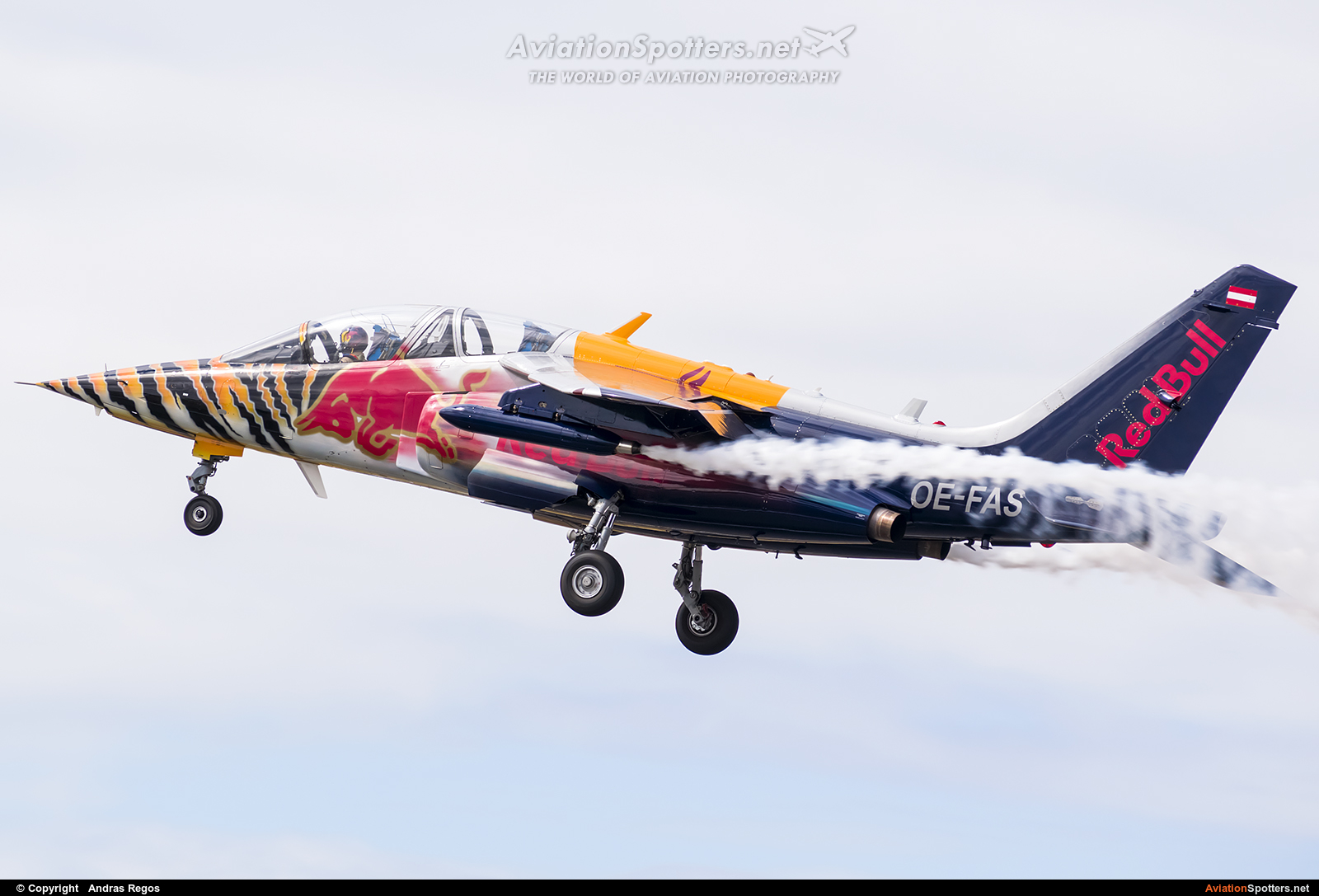Red Bull  -  Alpha Jet A  (OE-FAS) By Andras Regos (regos)