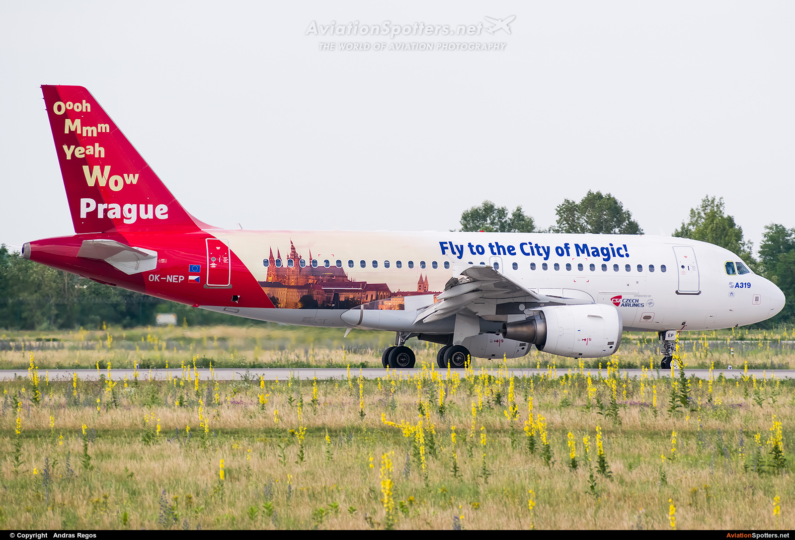 CSA - Czech Airlines  -  A319-112  (OK-NEP) By Andras Regos (regos)