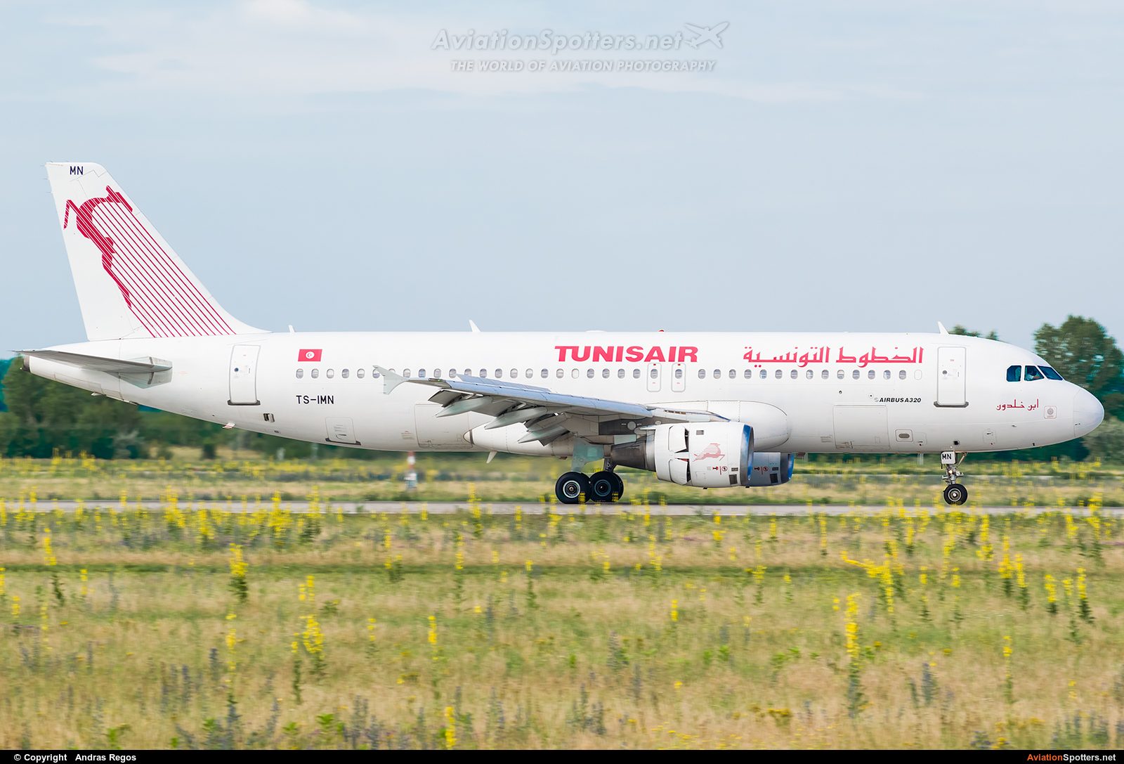 Tunisair  -  A320-211  (TS-IMN) By Andras Regos (regos)
