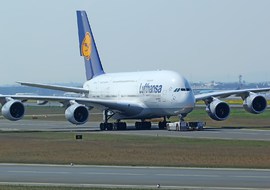 Airbus - A380 (D-AIMJ ) - toto1973