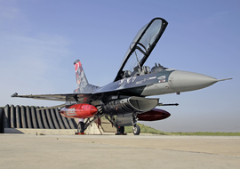 General Dynamics - F-16DG Fighting Falcon (88-0014) - zaferbuna