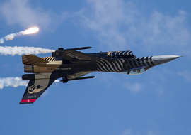 Lockheed Martin - F-16C Fighting Falcon (91-0011) - zaferbuna