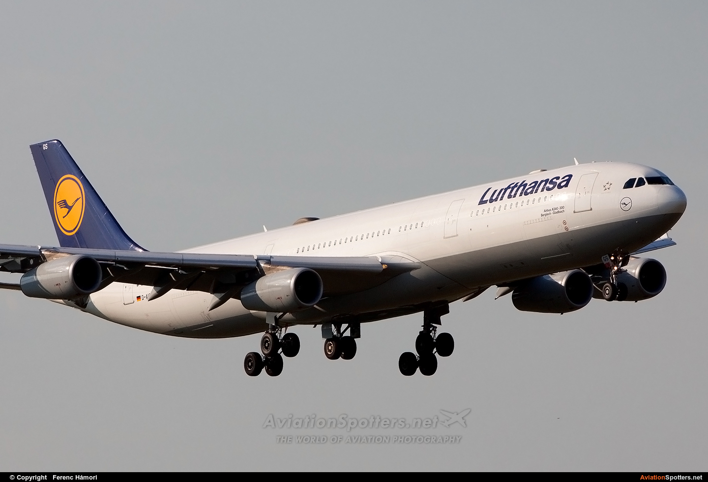 Lufthansa  -  A340-300  (D-AIGS) By Ferenc Hámori (hamori)