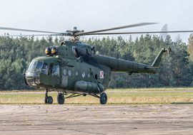 Mil - Mi-17 (6107) - Piciu