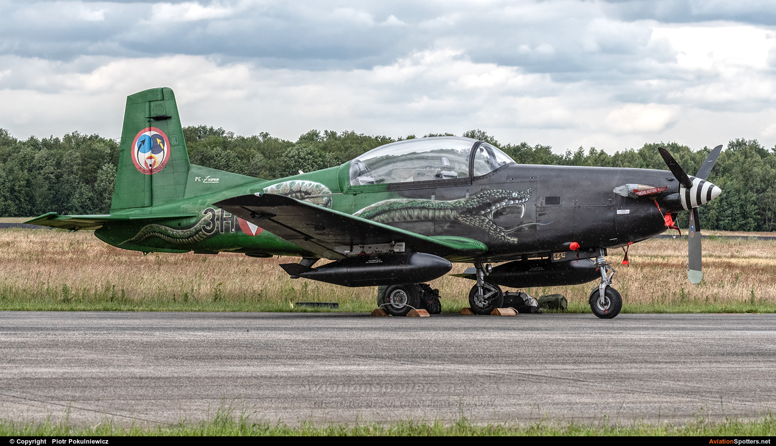 Austria - Air Force  -  PC-7 I & II  (3H-FG) By Piotr Pokulniewicz (Piciu)