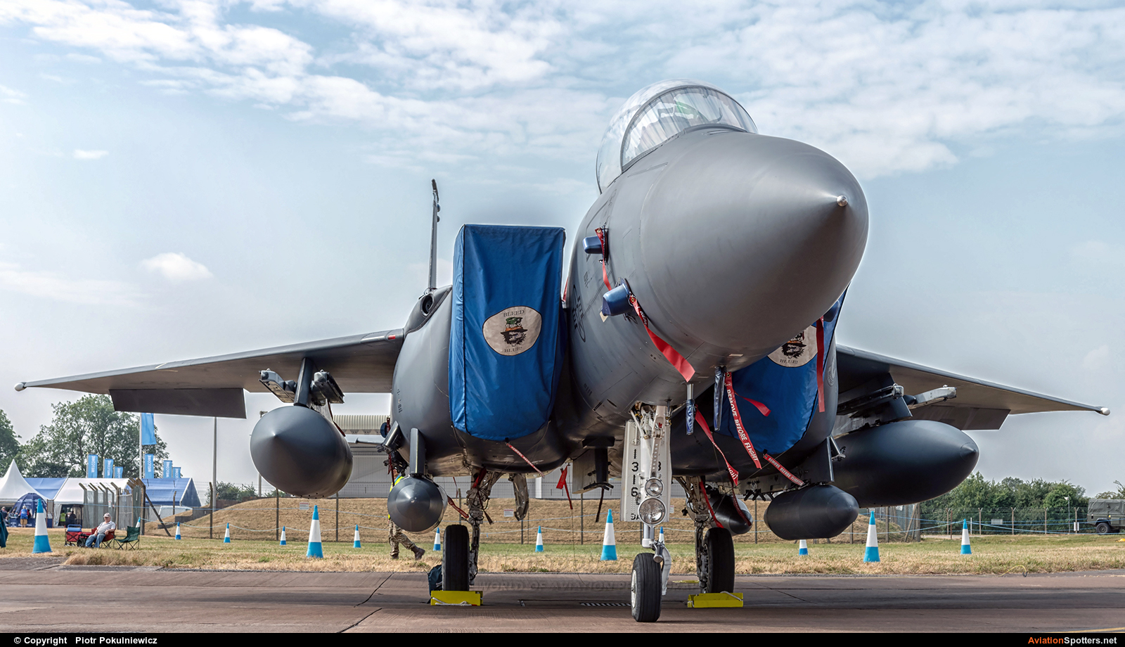 USA - Air Force  -  F-15E Strike Eagle  (91316) By Piotr Pokulniewicz (Piciu)