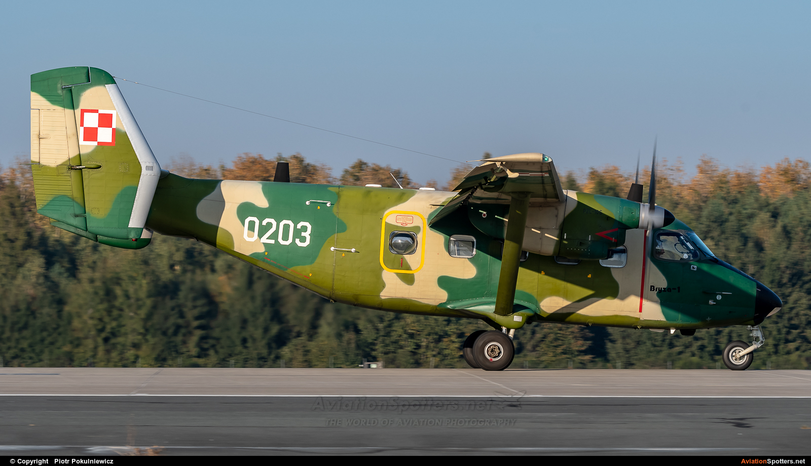 Poland - Air Force  -  M-28 Bryza  (0203) By Piotr Pokulniewicz (Piciu)
