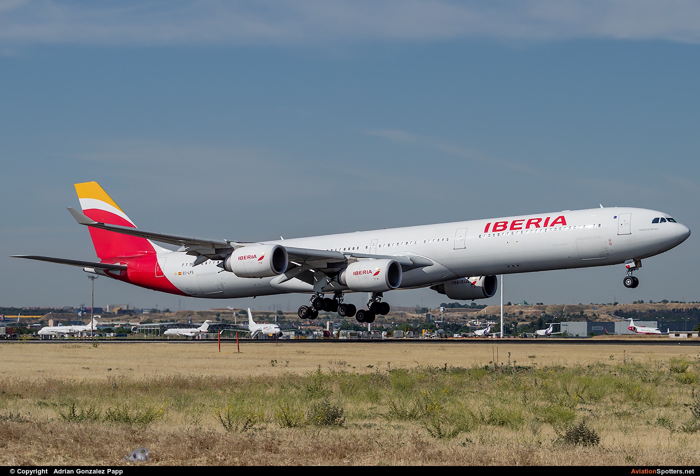 Iberia  -  A340-600  (EC-LFS) By Adrian Gonzalez Papp (agp12)