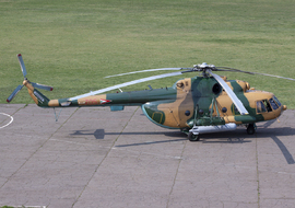 Mil - Mi-17 (705) - Gastrospotter