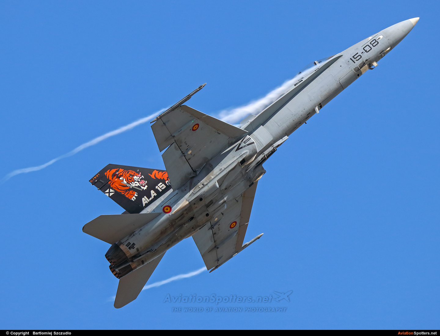 Spain - Air Force  -  EF-18A Hornet  (C.15-21) By Bartlomiej Szczudlo  (BartekSzczudlo)