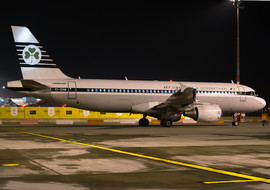 Airbus - A320 (EI-DVM) - goti80