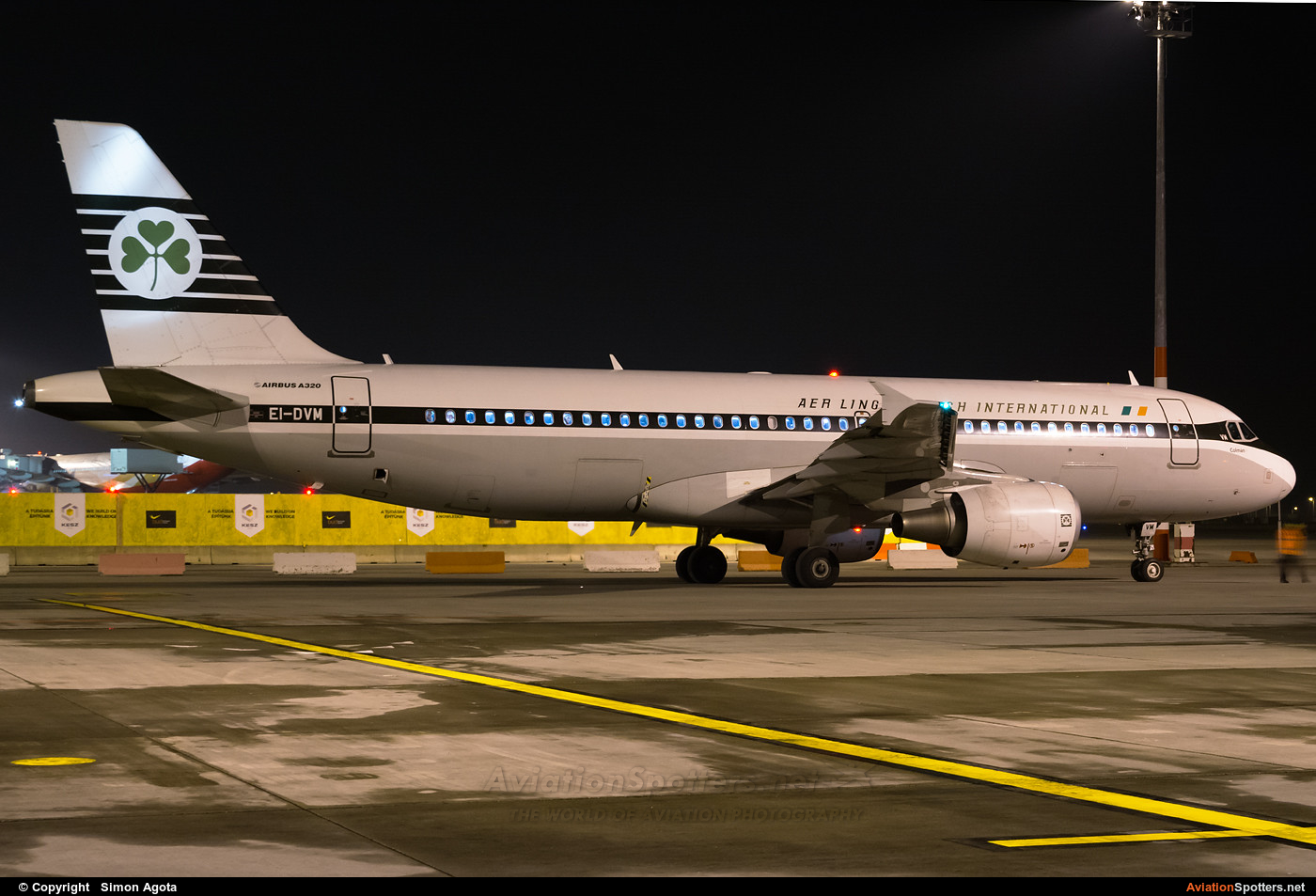 Aer Lingus  -  A320  (EI-DVM) By Simon Agota (goti80)