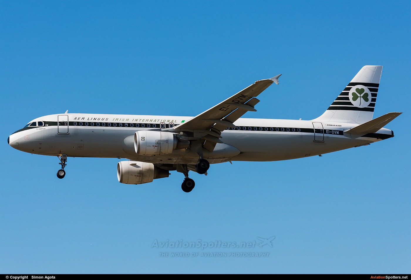 Aer Lingus  -  A320-214  (EI-DVM) By Simon Agota (goti80)