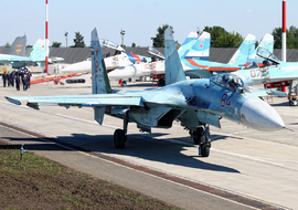 Sukhoi - Su-27 (RF-95263) - SergeyL