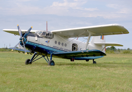 PZL - Mielec An-2 (YR-PBU) - allex