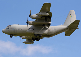 Lockheed - C-130H Hercules (842) - allex