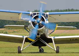 Antonov - An-2 (HA-MEK) - allex