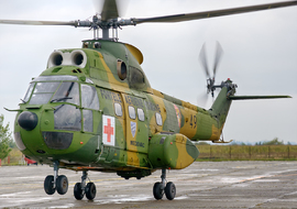 Aerospatiale (IAR) - IAR-330M Puma (49) - allex