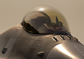 General Dynamics - F-16C Fighting Falcon (3918) - allex