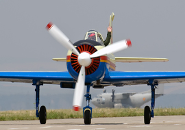Yakovlev - Yak-52 (30) - allex