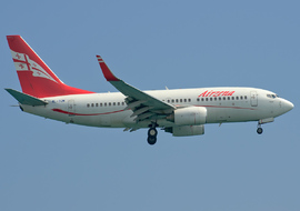 Boeing - 737-600 (4L-TGM) - allex