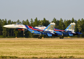 Sukhoi - Su-27 (08 BLUE) - allex