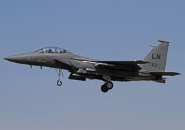 McDonnell Douglas - F-15E Strike Eagle (91-0313) - ctt2706