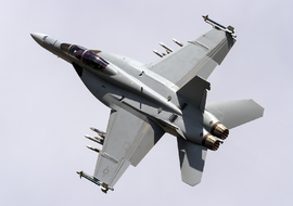 Boeing - F-A-18F Super Hornet (168890) - Tigger Bounce