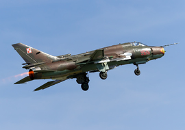 Sukhoi - Su-22M-4 (9616 ) - Tigger Bounce