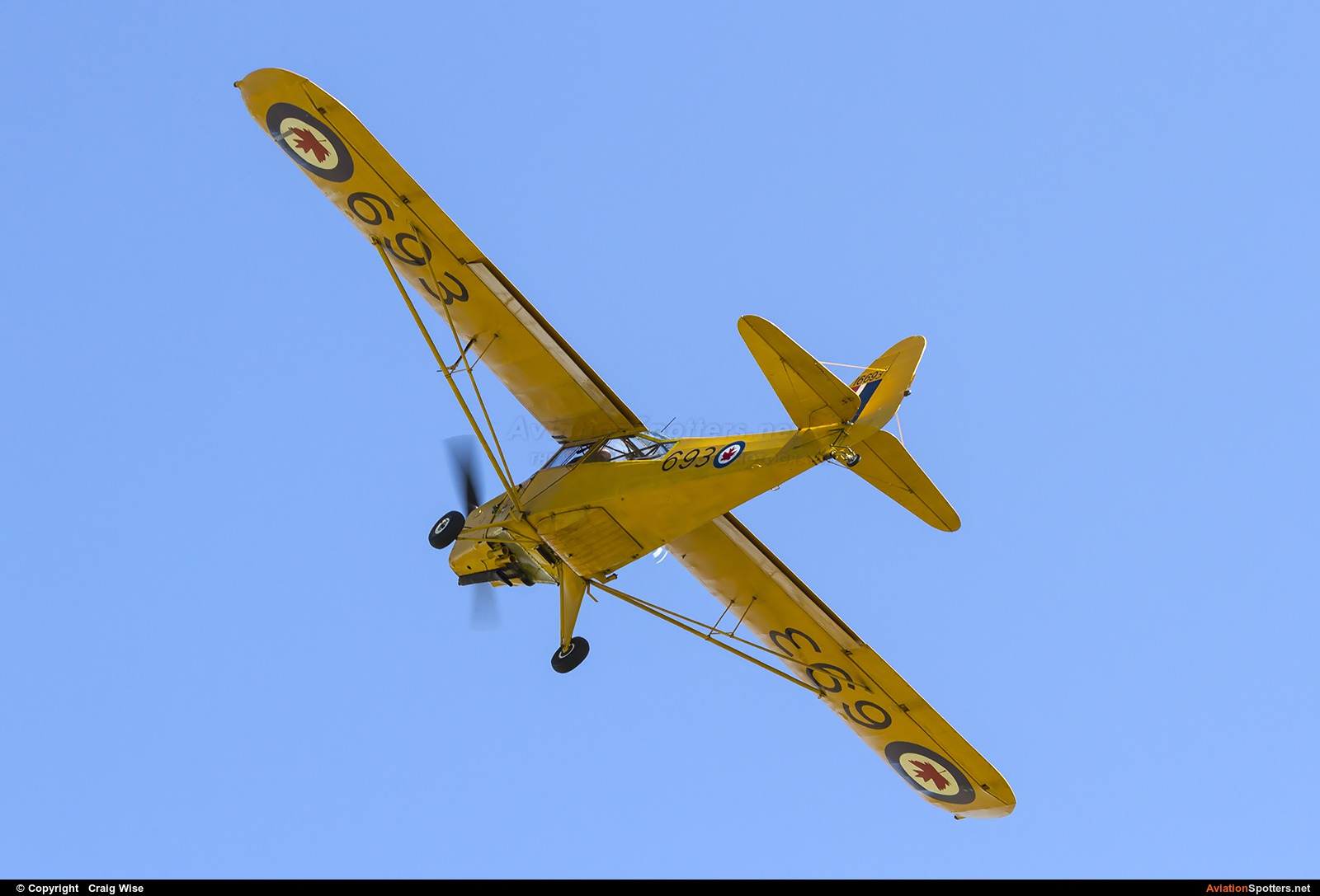 Private  -  Auster J-1N Alpha  (16689) By Craig Wise (Tigger Bounce)