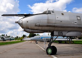 Tupolev - Tu-142MZ (85) - vargagyuri