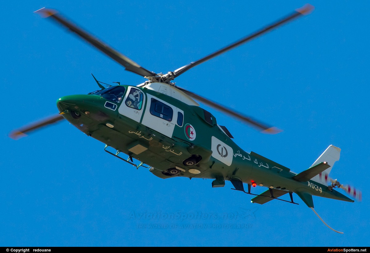 Algeria - Air Force  -   Agusta-Bell-A 109LUH  (AG-34) By AS RED (kingvarg)
