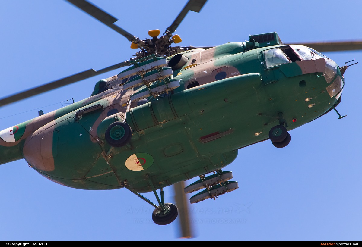 Algeria - Air Force  -  Mi-171  (SM-77) By AS RED (kingvarg)