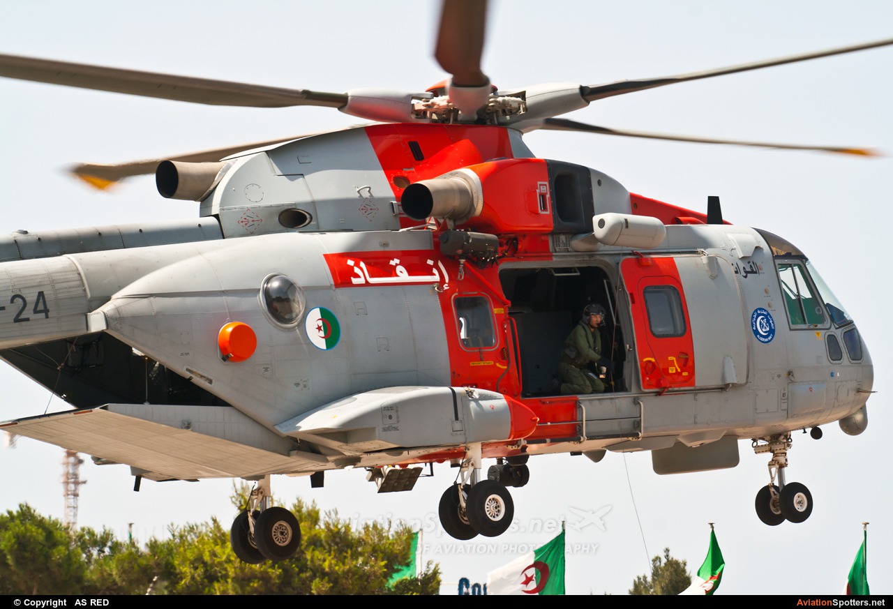 Algeria - Navy  -  AW 101 - EH-101 Merlin  (MS-24) By AS RED (kingvarg)