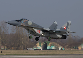 Mikoyan-Gurevich - MiG-29A (66) - big