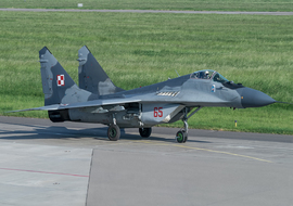 Mikoyan-Gurevich - MiG-29 (65) - big