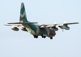 Lockheed - C-130H Hercules (436) - Csaba Kiraly