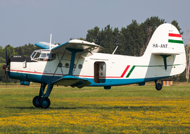 PZL - Mielec An-2 (HA-ANT) - Csaba Kiraly