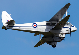 de Havilland - DH. 89 Dragon Rapide (G-AIDL) - Csaba Kiraly