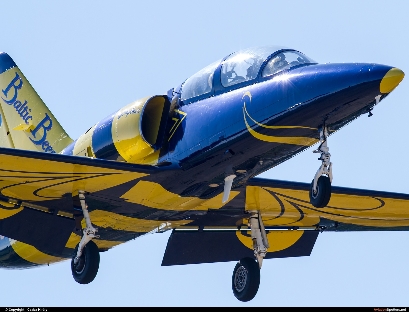 Baltic Bees Jet Team  -  L-39C Albatros  (YL-KSL) By Csaba Király (Csaba Kiraly)