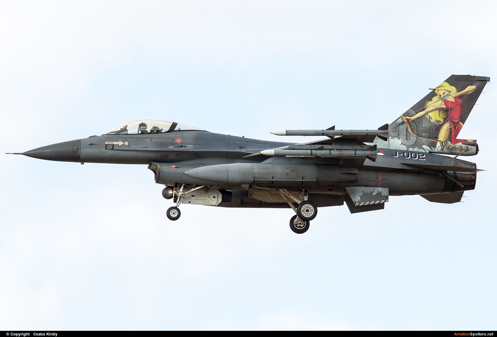 Netherlands - Air Force  -  F-16AM Fighting Falcon  (J-002) By Csaba Király (Csaba Kiraly)