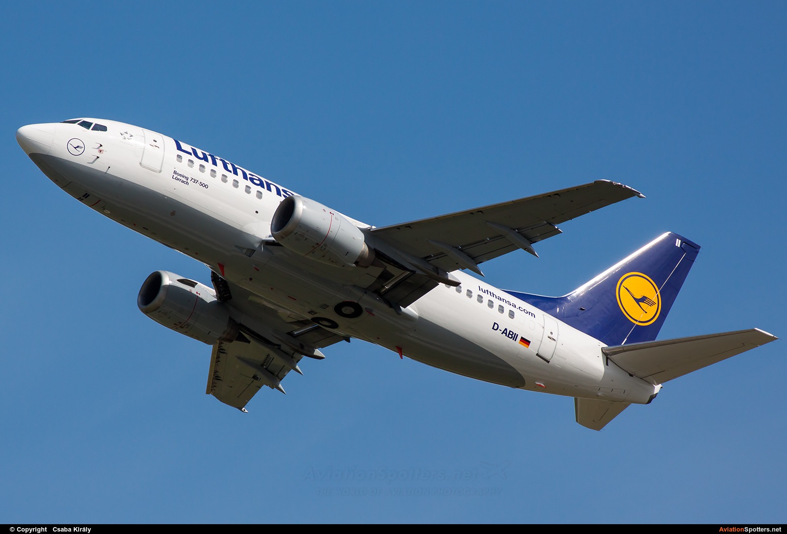 Lufthansa  -  737-500  (D-ABII) By Csaba Király (Csaba Kiraly)