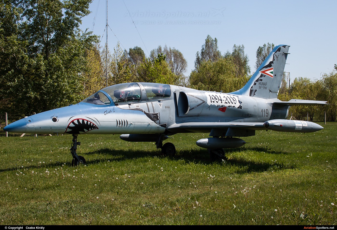 Hungary - Air Force  -  L-39ZO Albatros  (119) By Csaba Király (Csaba Kiraly)