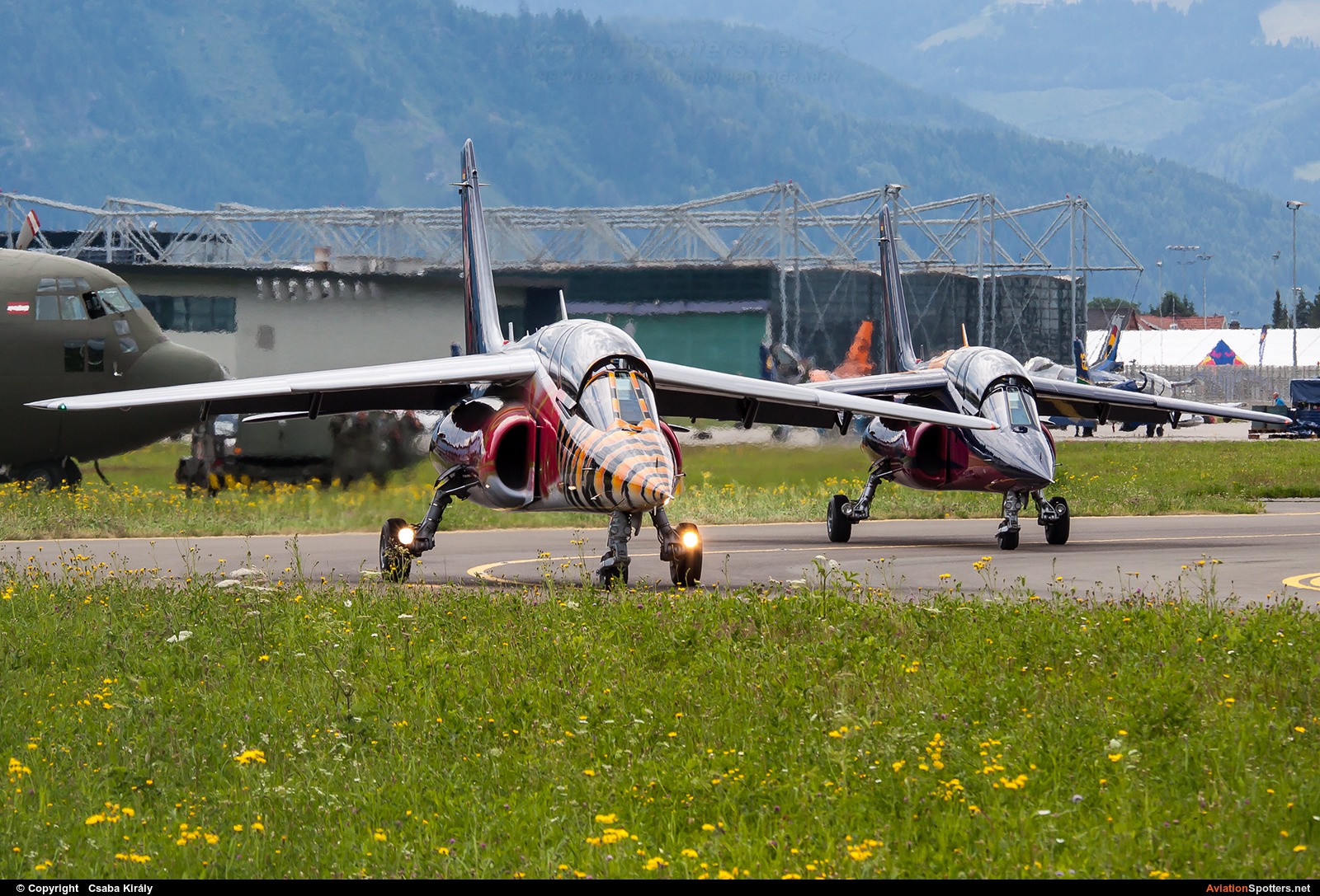 The Flying Bulls  -  Alpha Jet A  (D-IFDM) By Csaba Király (Csaba Kiraly)